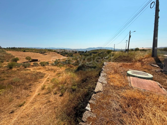 Terreno Agricola ou Rústico para Venda em Vila Nova de Foz Côa Foto 3