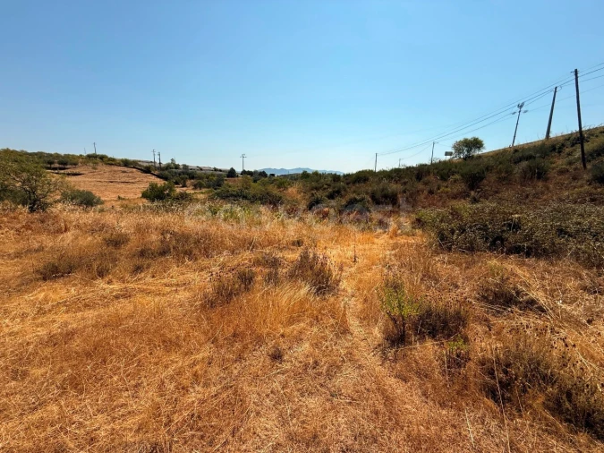 Terreno Agricola ou Rústico para Venda em Vila Nova de Foz Côa Foto 4