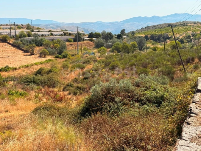 Terreno Agricola ou Rústico para Venda em Vila Nova de Foz Côa Foto 5