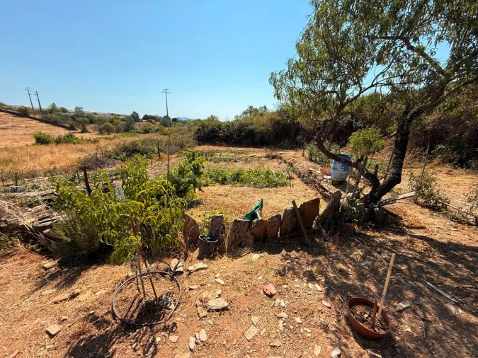 Terreno Agricola ou Rústico para Venda em Vila Nova de Foz Côa Foto 6