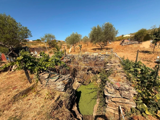 Terreno Agricola ou Rústico para Venda em Vila Nova de Foz Côa Foto 7