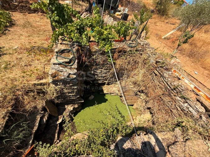 Terreno Agricola ou Rústico para Venda em Vila Nova de Foz Côa Foto 8