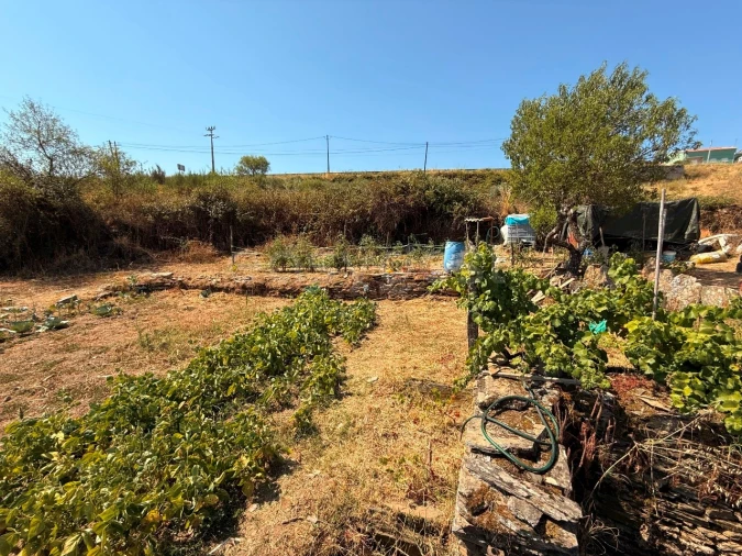Terreno Agricola ou Rústico para Venda em Vila Nova de Foz Côa Foto 9
