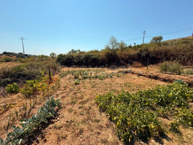 Terreno Agricola ou Rústico para Venda em Vila Nova de Foz Côa Foto 10