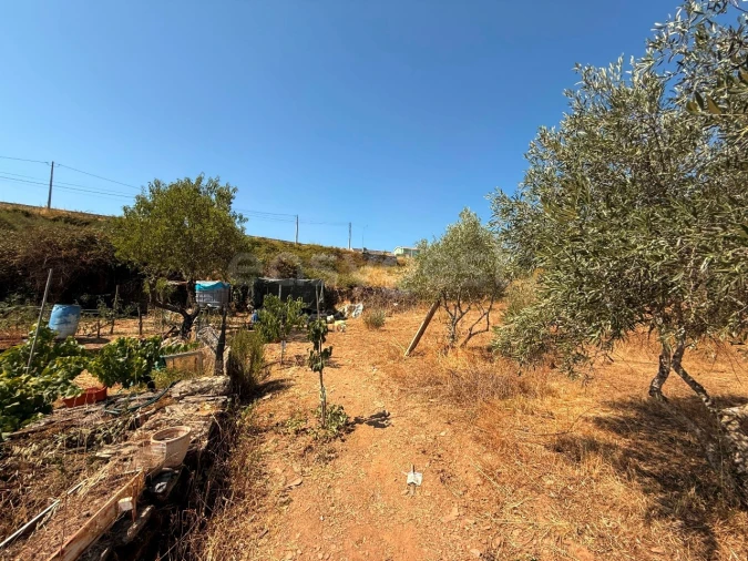Terreno Agricola ou Rústico para Venda em Vila Nova de Foz Côa Foto 12