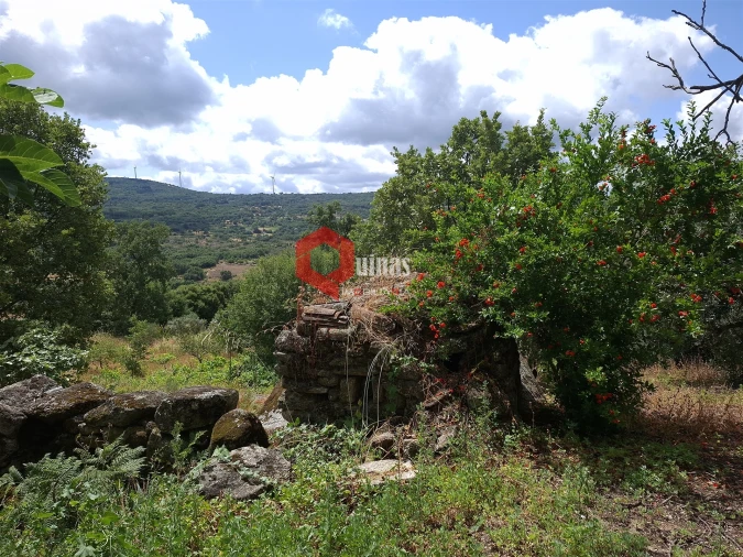 Quinta T0 para Venda em Sortelha Foto 6