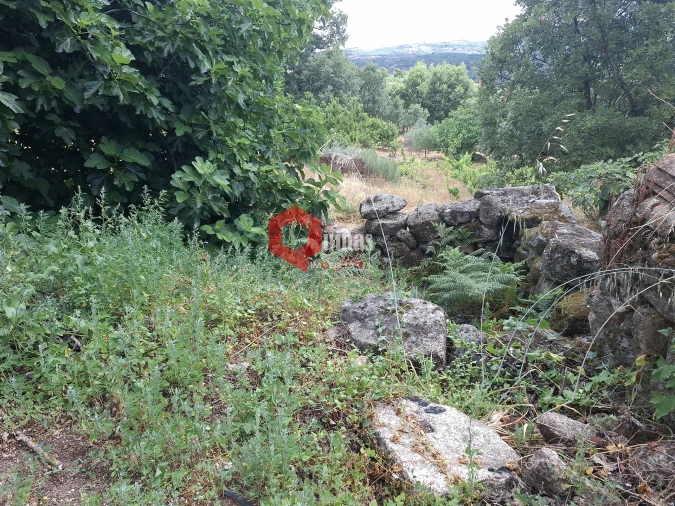 Quinta T0 para Venda em Sortelha Foto 8