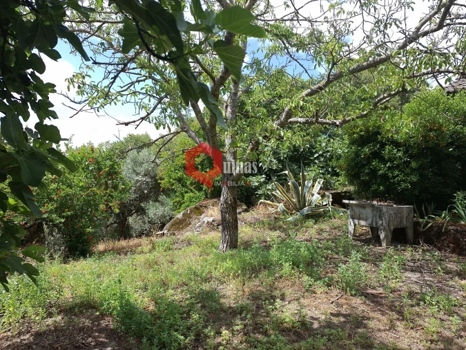Quinta T0 para Venda em Sortelha Foto 5