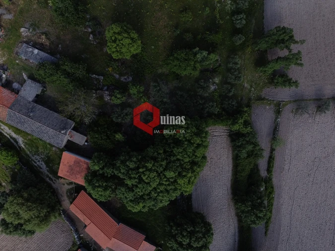 Quinta T0 para Venda em Sortelha Foto 14