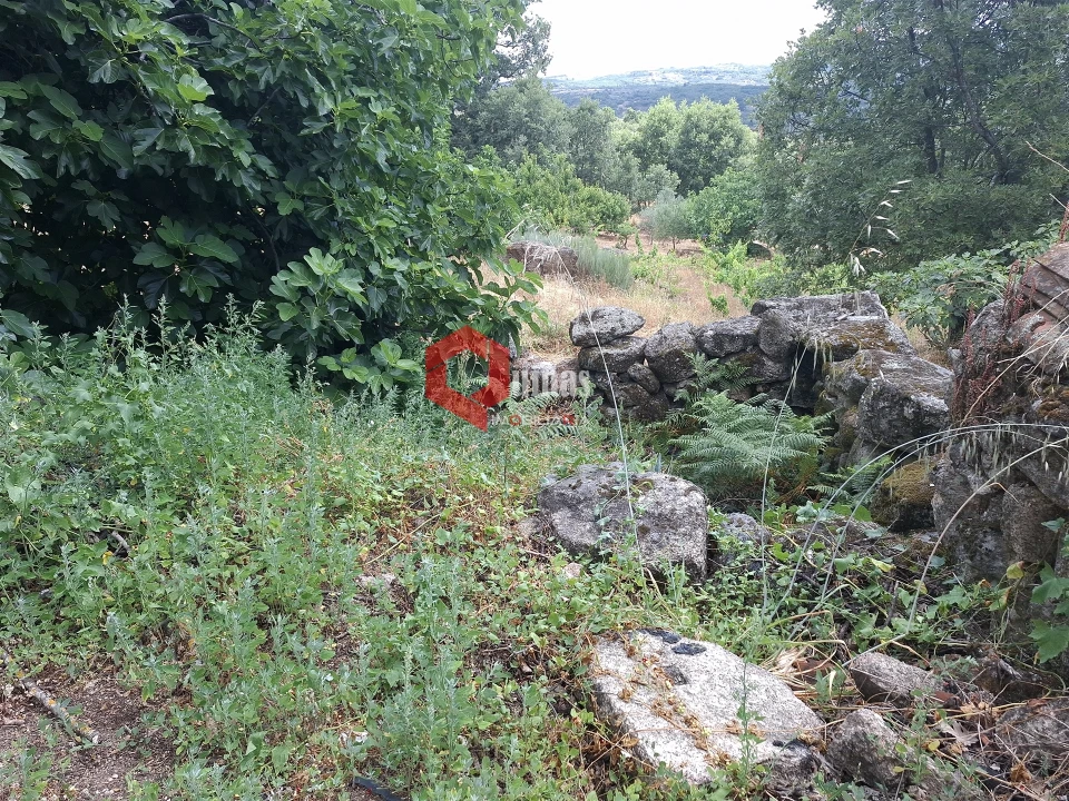 Quinta T0 para Venda em Sortelha Foto 8