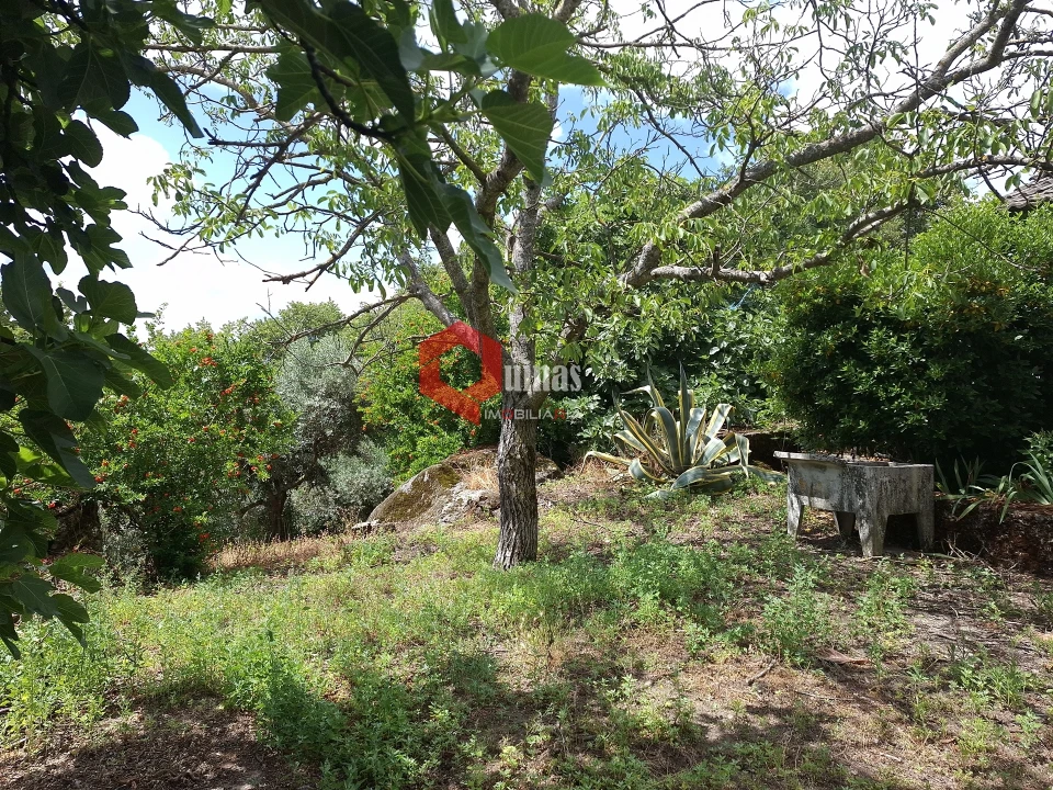 Quinta T0 para Venda em Sortelha Foto 5