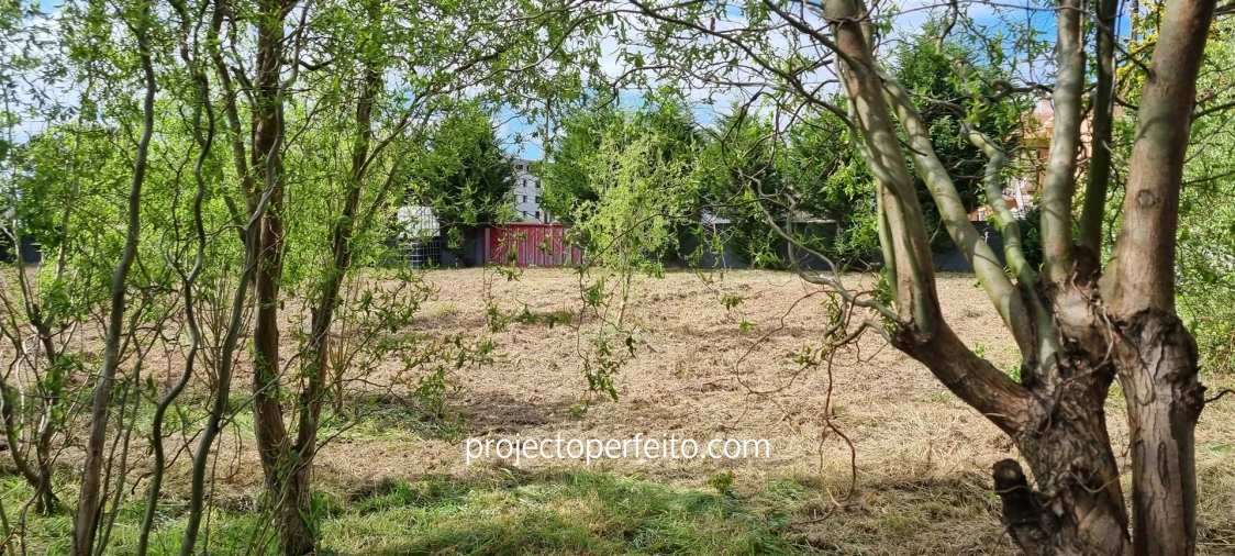 Terreno para Venda em Esmoriz Foto 9