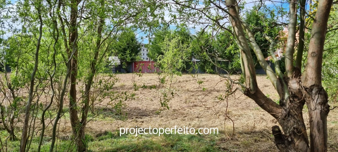 Terreno para Venda em Esmoriz Foto 12