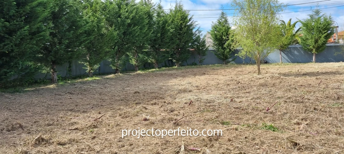 Terreno para Venda em Esmoriz Foto 10