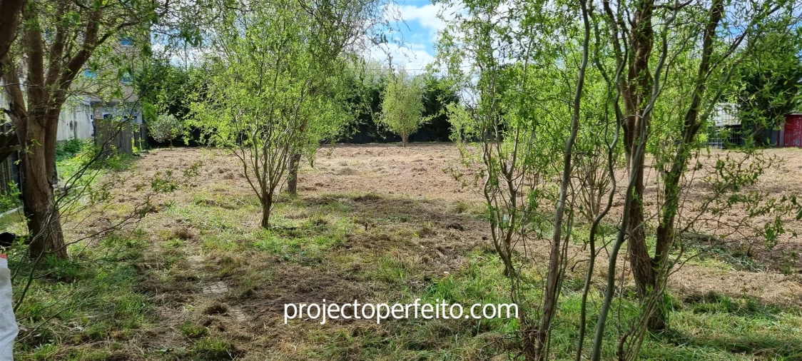 Terreno para Venda em Esmoriz Foto 6