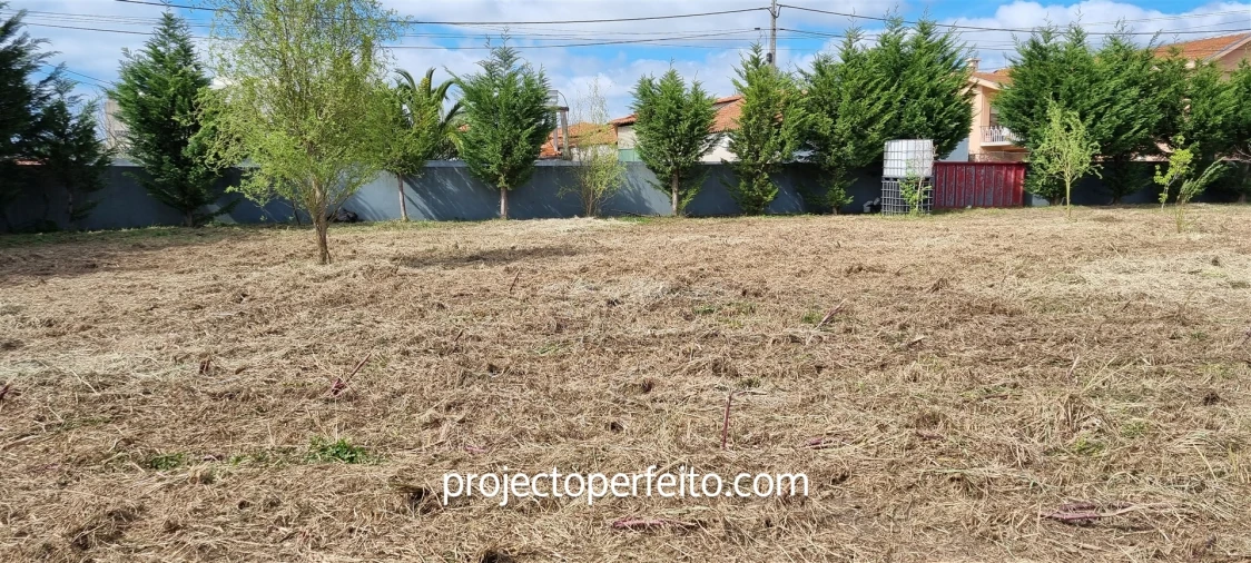 Terreno para Venda em Esmoriz Foto 4