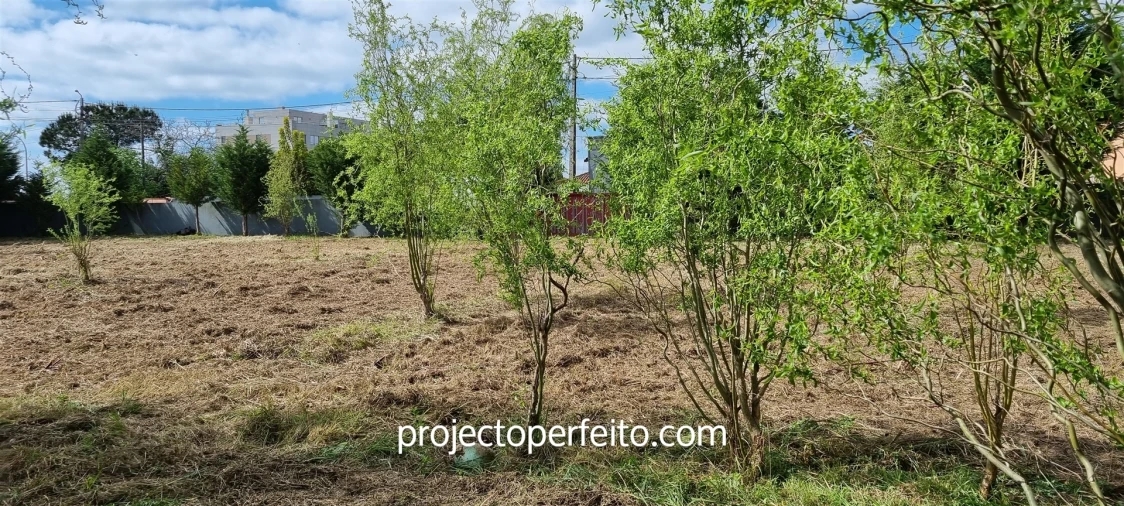 Terreno para Venda em Esmoriz Foto 7
