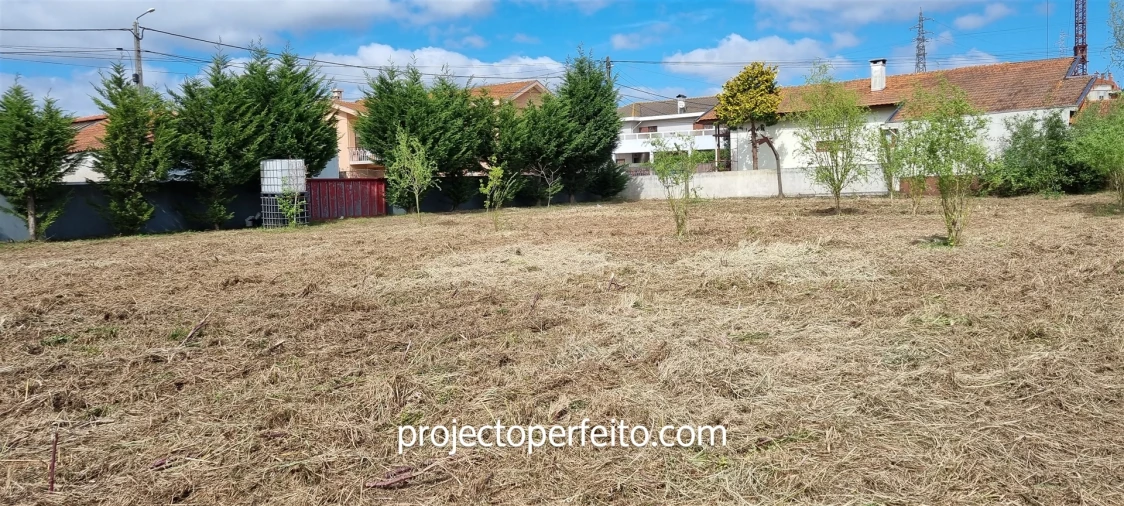 Terreno para Venda em Esmoriz Foto 5