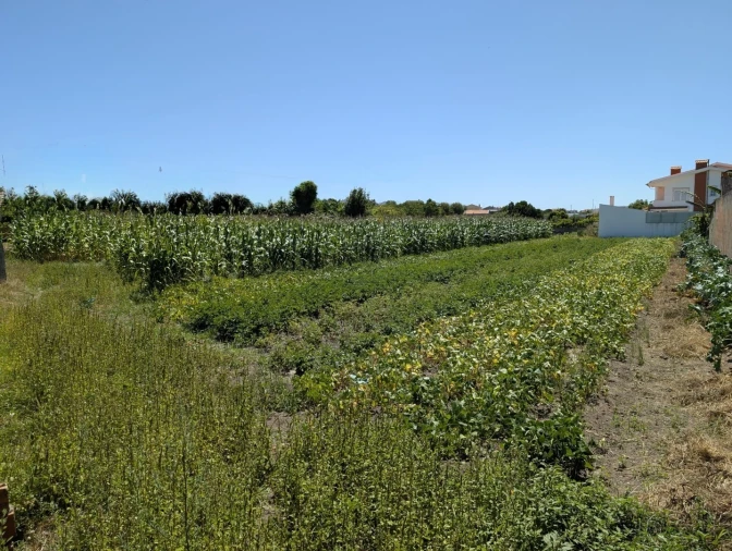 Terreno para Venda em São Bernardo Foto 2