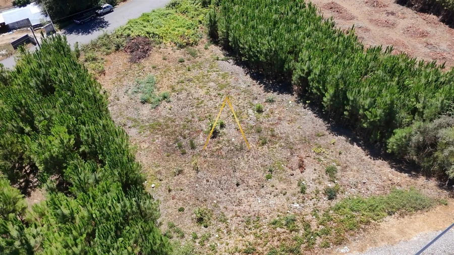 Terreno para Venda em Campo