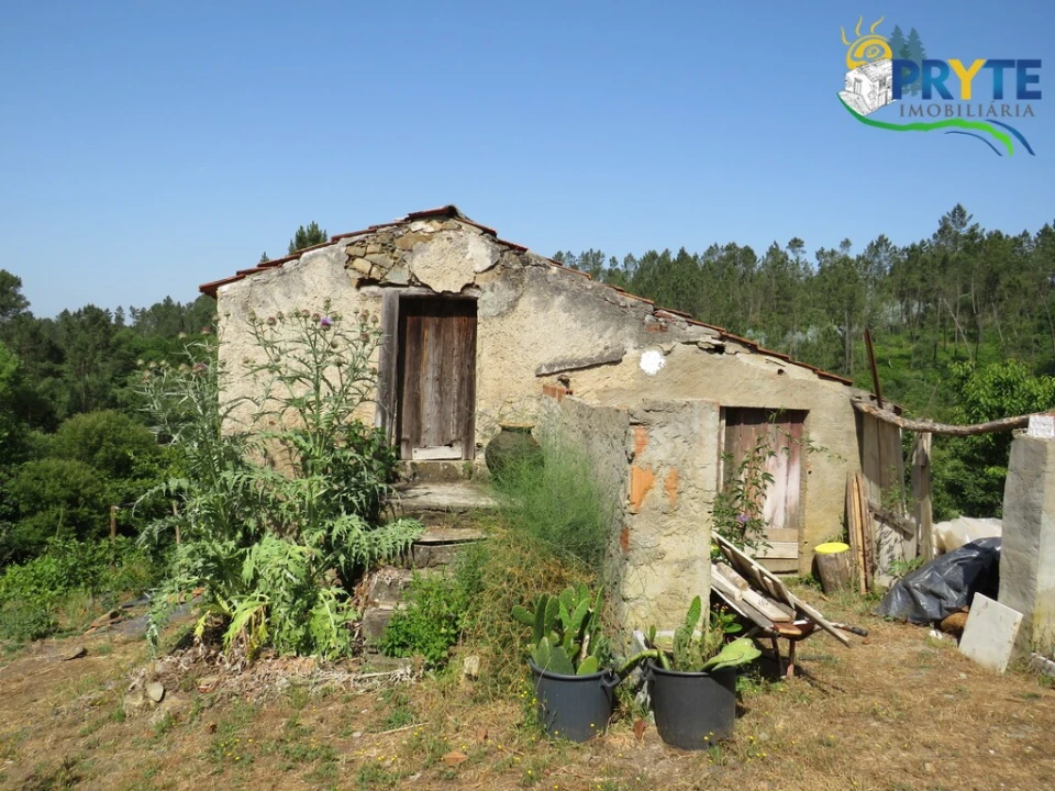 Quinta T3 para Venda em Cernache do Bonjardim, Nesperal e Palhais Foto 11