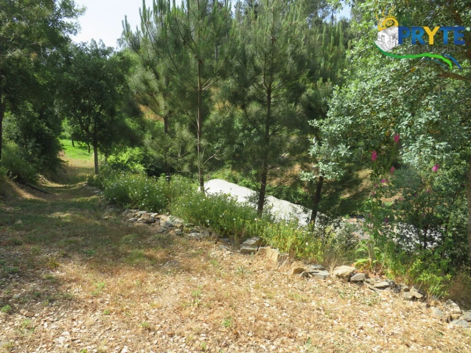 Quinta T3 para Venda em Cernache do Bonjardim, Nesperal e Palhais Foto 19