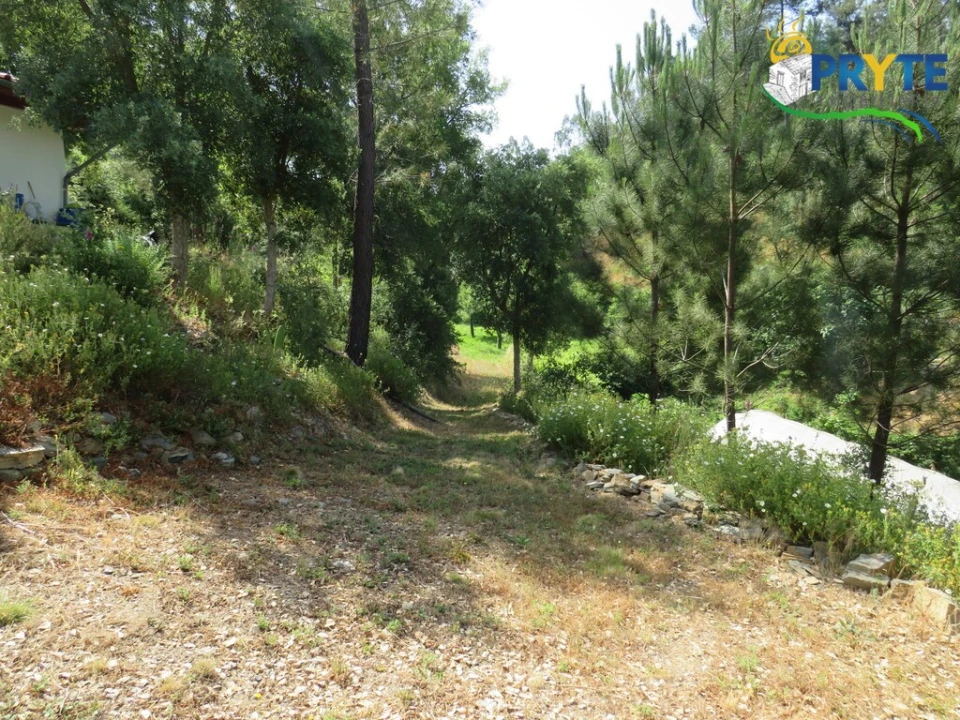 Quinta T3 para Venda em Cernache do Bonjardim, Nesperal e Palhais Foto 20