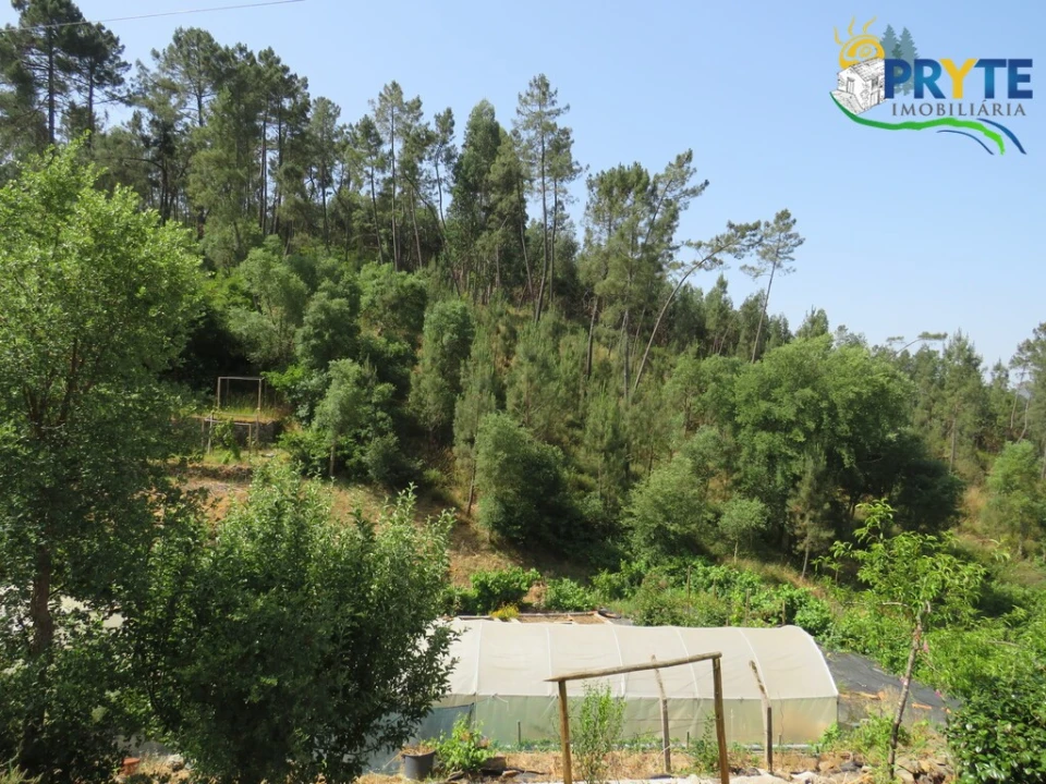 Quinta T3 para Venda em Cernache do Bonjardim, Nesperal e Palhais Foto 22