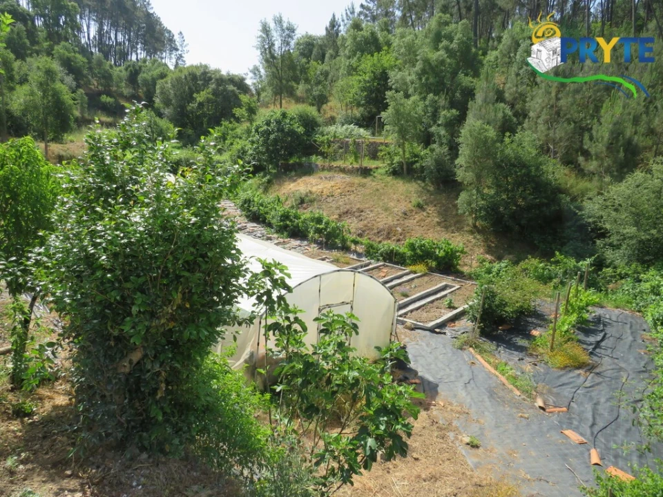 Quinta T3 para Venda em Cernache do Bonjardim, Nesperal e Palhais Foto 23
