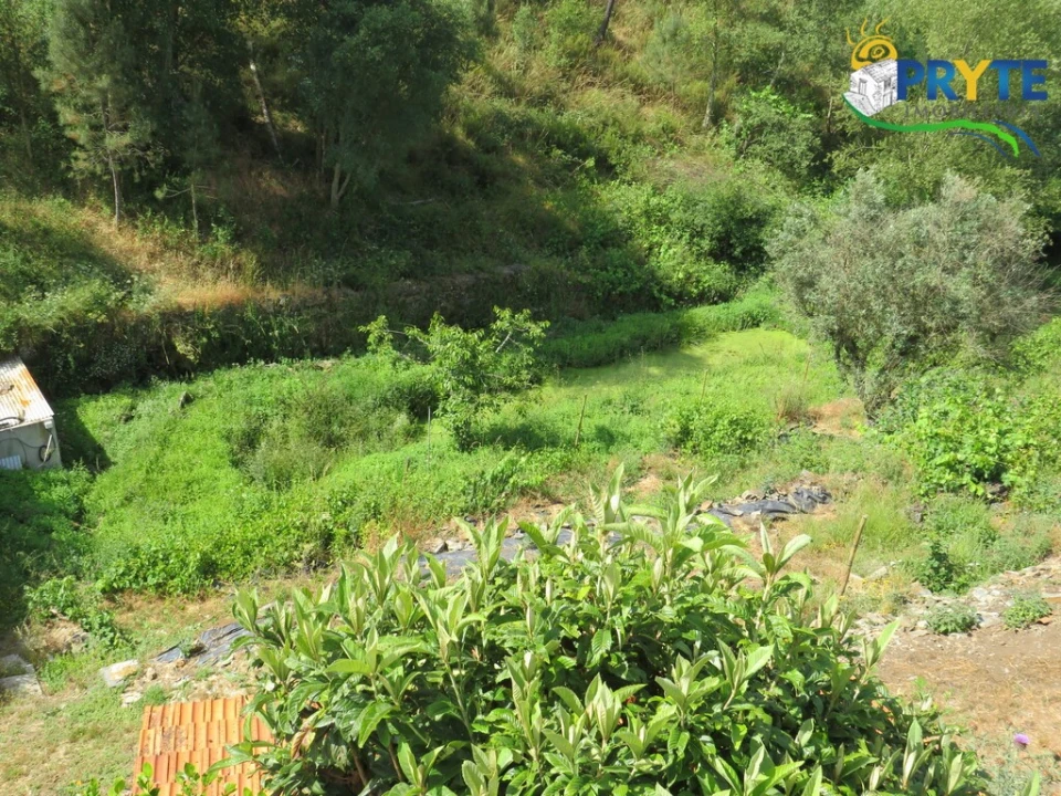 Quinta T3 para Venda em Cernache do Bonjardim, Nesperal e Palhais Foto 58