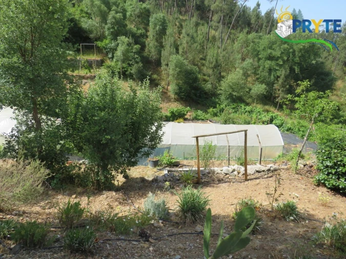 Quinta T3 para Venda em Cernache do Bonjardim, Nesperal e Palhais Foto 3