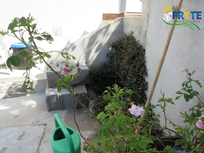 Quinta T3 para Venda em Cernache do Bonjardim, Nesperal e Palhais Foto 5