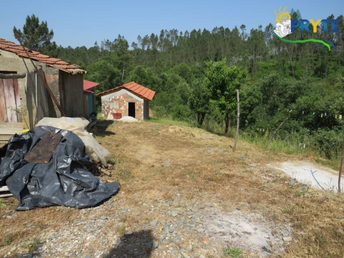 Quinta T3 para Venda em Cernache do Bonjardim, Nesperal e Palhais Foto 9