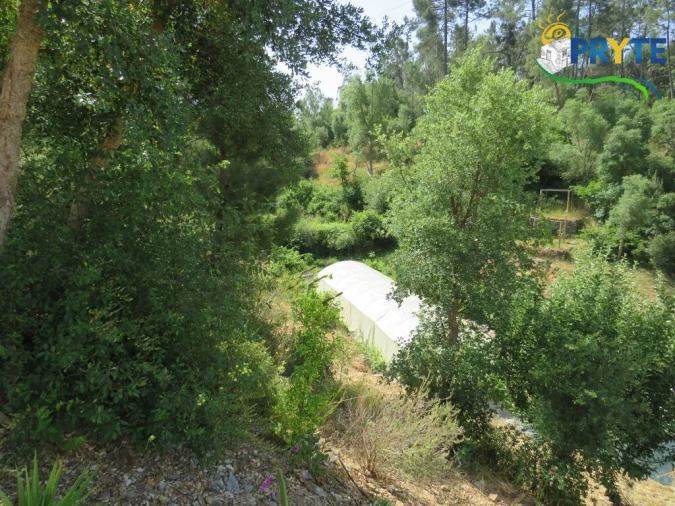 Quinta T3 para Venda em Cernache do Bonjardim, Nesperal e Palhais Foto 21