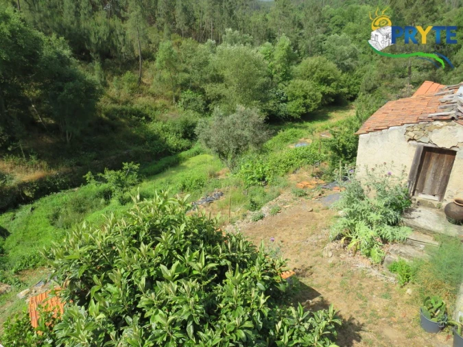 Quinta T3 para Venda em Cernache do Bonjardim, Nesperal e Palhais Foto 40