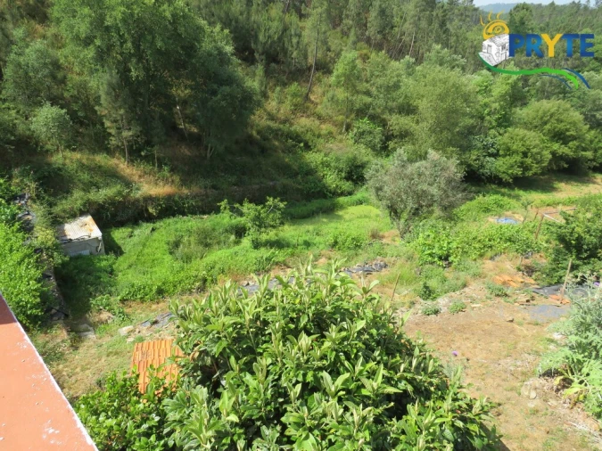 Quinta T3 para Venda em Cernache do Bonjardim, Nesperal e Palhais Foto 55