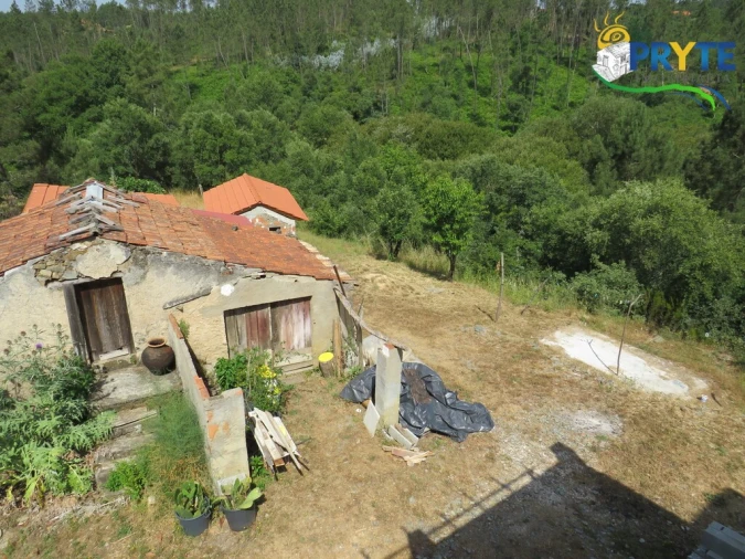 Quinta T3 para Venda em Cernache do Bonjardim, Nesperal e Palhais Foto 56