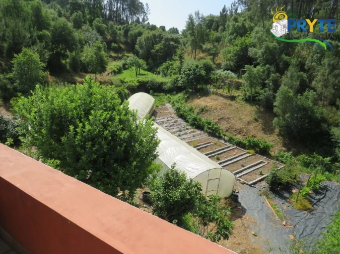 Quinta T3 para Venda em Cernache do Bonjardim, Nesperal e Palhais Foto 57