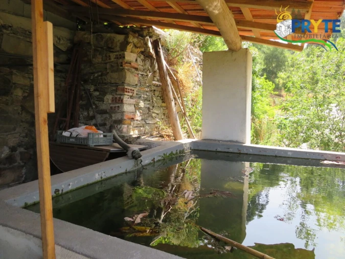 Quinta T3 para Venda em Cernache do Bonjardim, Nesperal e Palhais Foto 77