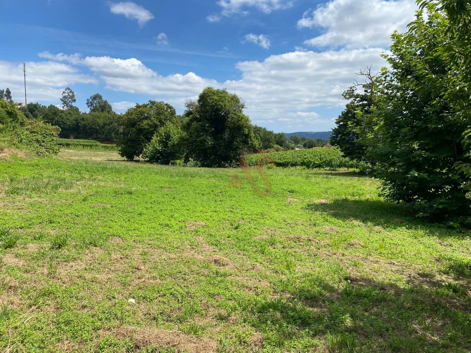 Quinta T1 para Venda em Silvares, Pias, Nogueira e Alvarenga Foto 28