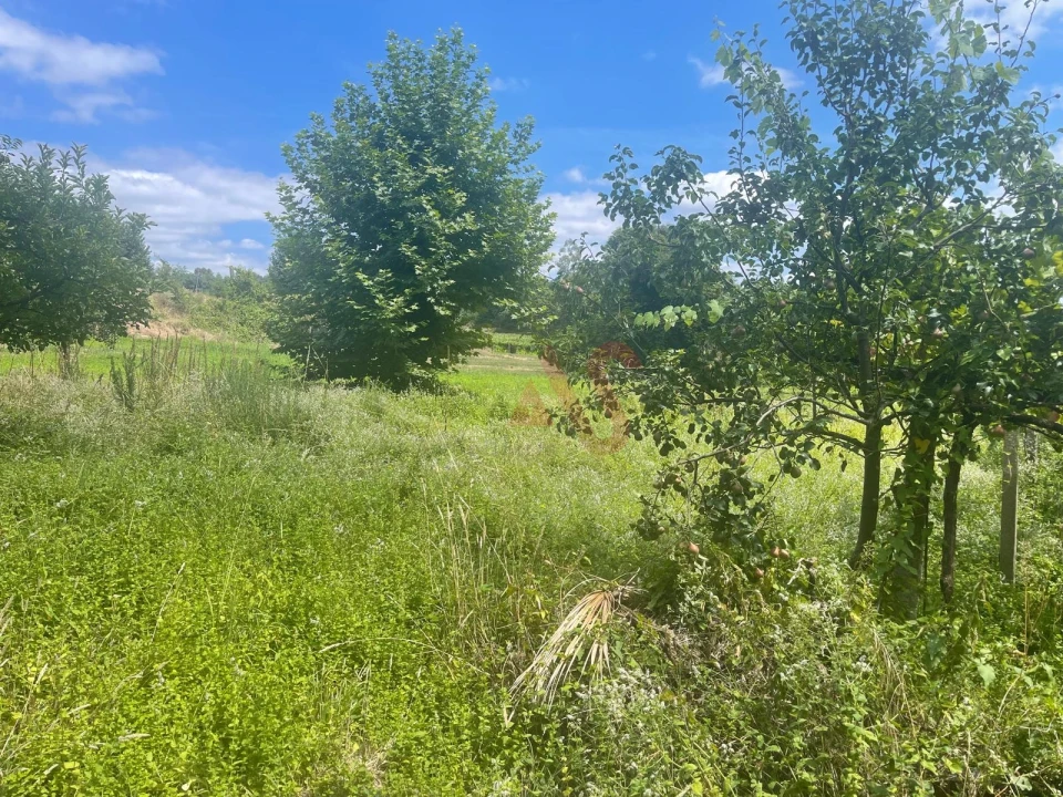 Quinta T1 para Venda em Silvares, Pias, Nogueira e Alvarenga Foto 25
