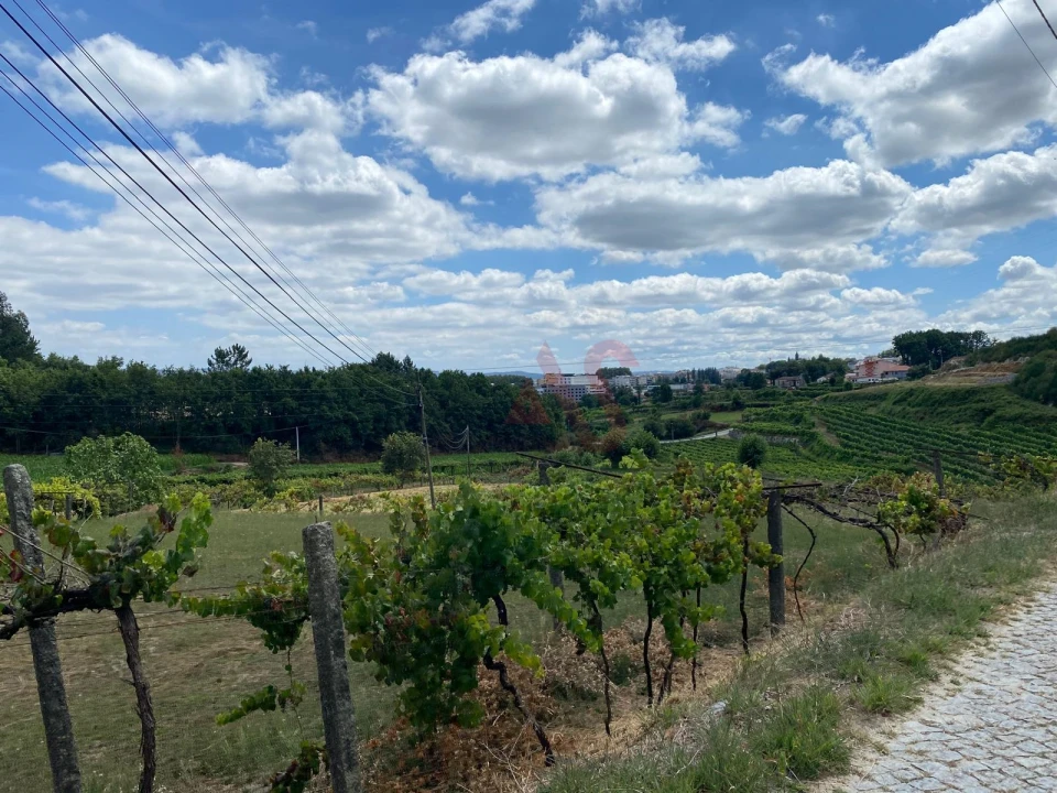 Quinta T1 para Venda em Silvares, Pias, Nogueira e Alvarenga Foto 3