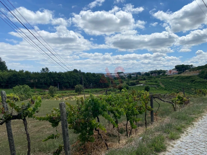 Quinta T1 para Venda em Silvares, Pias, Nogueira e Alvarenga Foto 3