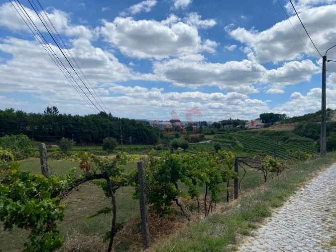 Quinta T1 para Venda em Silvares, Pias, Nogueira e Alvarenga Foto 5