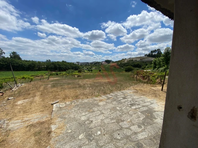 Quinta T1 para Venda em Silvares, Pias, Nogueira e Alvarenga Foto 7