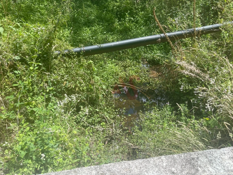 Quinta T1 para Venda em Silvares, Pias, Nogueira e Alvarenga Foto 26