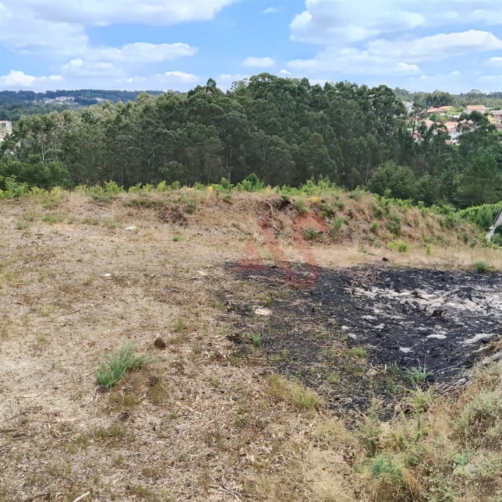Terreno para Venda em Silvares (São Martinho) Foto 20