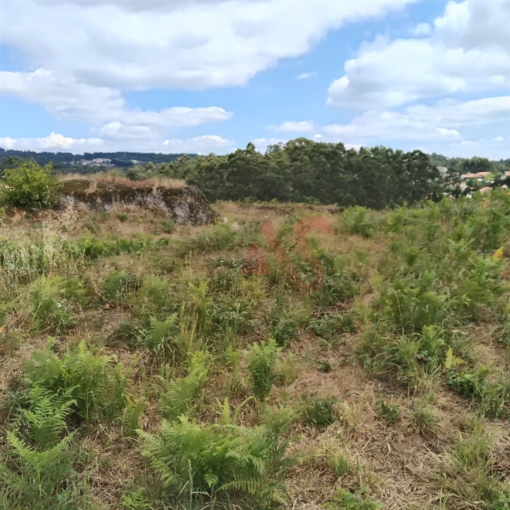 Terreno para Venda em Silvares (São Martinho) Foto 19