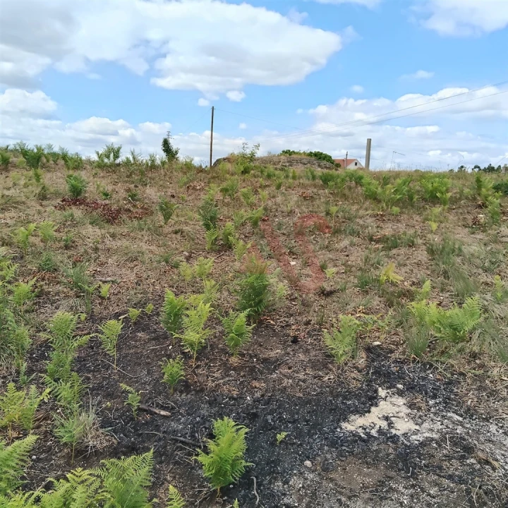 Terreno para Venda em Silvares (São Martinho) Foto 9
