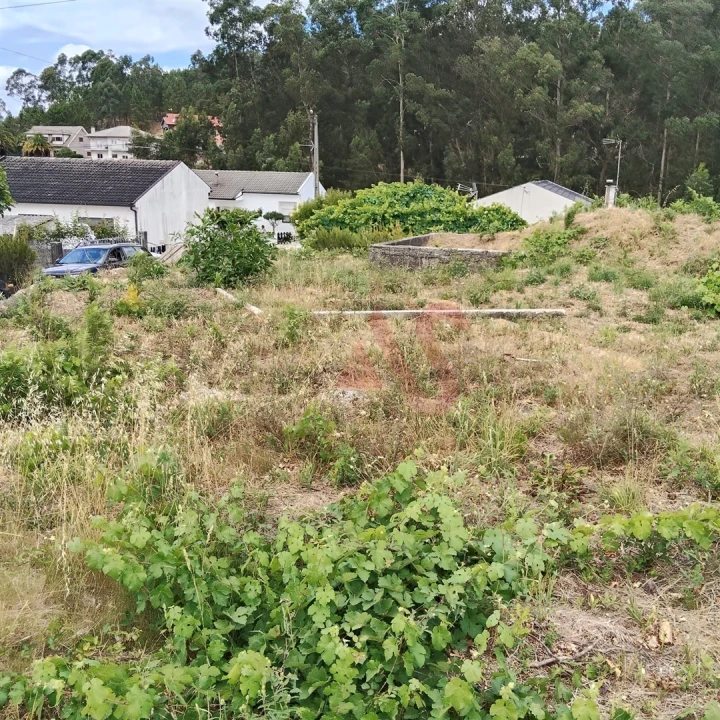 Terreno para Venda em Silvares (São Martinho) Foto 4